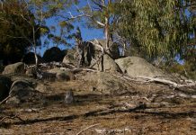 Unique events to launch