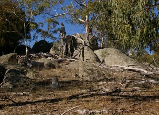 Unique events to launch