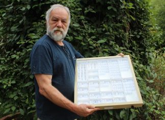 A curiosity in Woodend