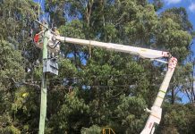 Power outages cause identified