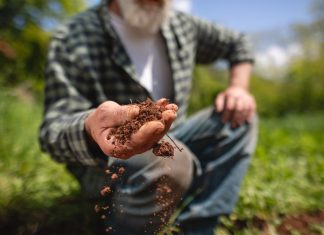 ‘SOS’ – save our soils