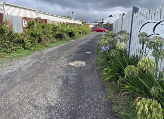 Lane given name from end to end