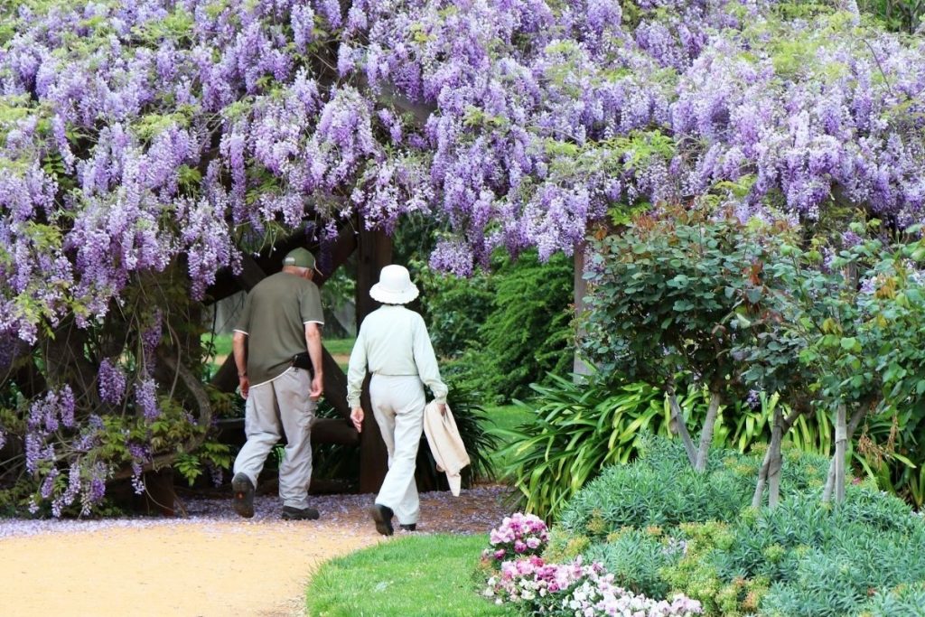 New plans for botanical gardens