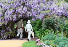 New plans for botanical gardens