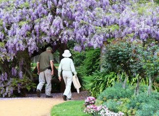 New plans for botanical gardens