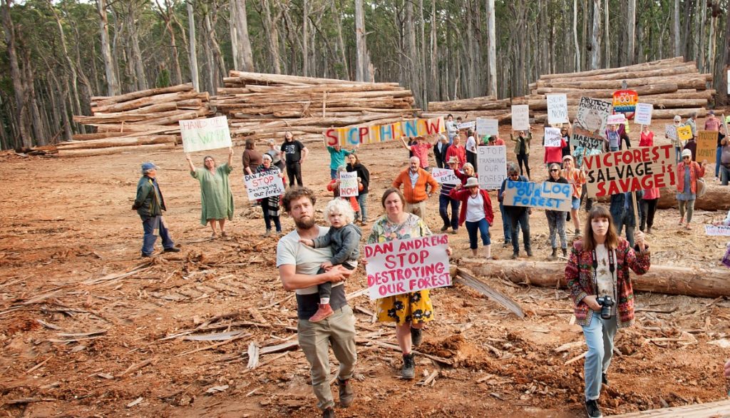 Forest clearing angers