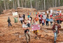 Forest clearing angers