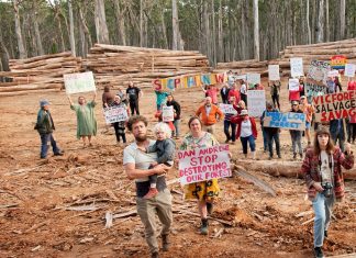 Forest clearing angers