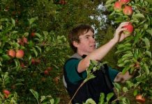 Follow the autumn food trail