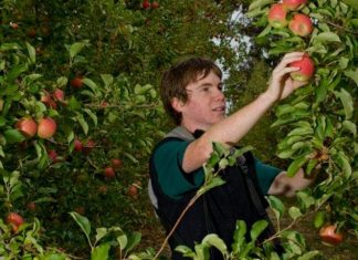 Follow the autumn food trail