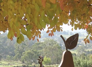 Autumn spectacular at Mica Grange