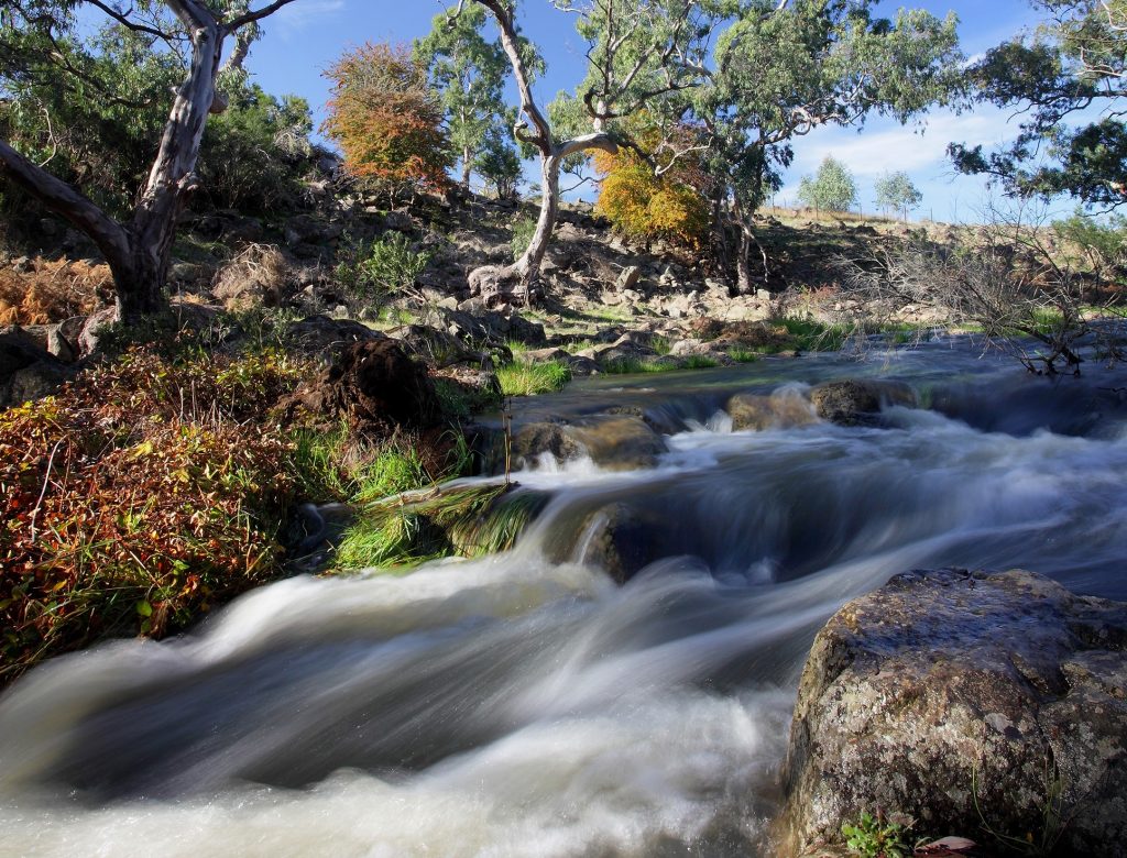 Fresh flow for platypus