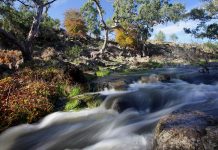Fresh flow for platypus