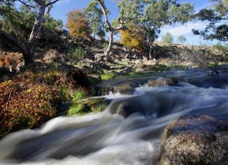 Fresh flow for platypus