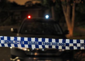 Witnesses sought for suspected hit and run