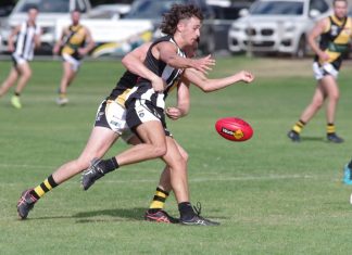 Castlemaine wins Challenge Cup honours