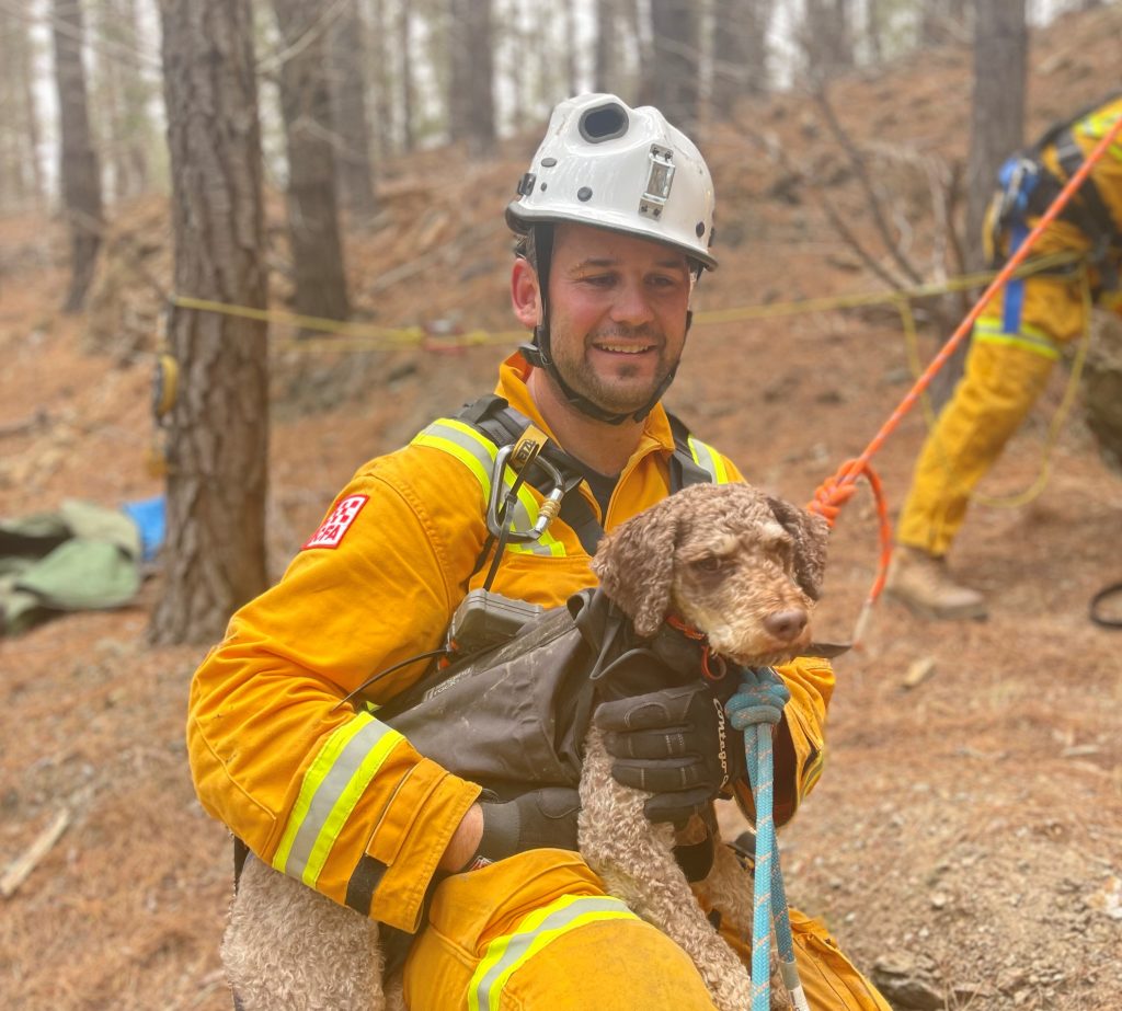 Dog rescued from mineshaft