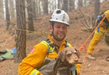 Dog rescued from mineshaft