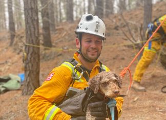 Dog rescued from mineshaft