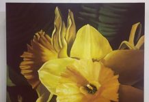 Festival to celebrate ‘Jubilee Gold’