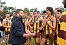 Late goal stymies Hawks’ fightback