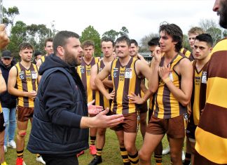 Late goal stymies Hawks’ fightback