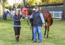 ‘Haystacks’ is back