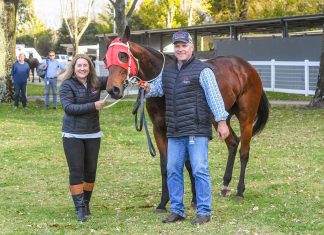 ‘Haystacks’ is back
