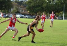 Tigers just miss in thriller