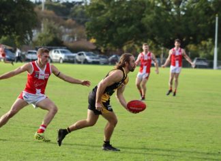 Tigers just miss in thriller