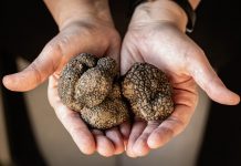 Truffle farm build rejected