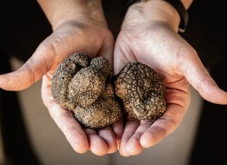 Truffle farm build rejected