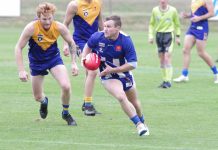 Lions roar against Steaders