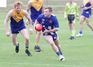 Lions roar against Steaders