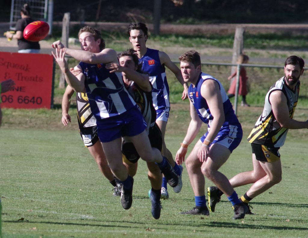 Mixed bag in MCDFNL