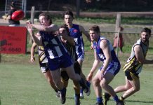 Mixed bag in MCDFNL