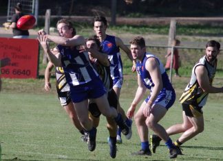 Mixed bag in MCDFNL