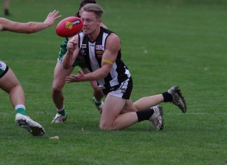 Massive day for Magpies