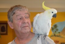 Saving gorgeous Gertie