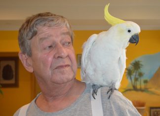 Saving gorgeous Gertie