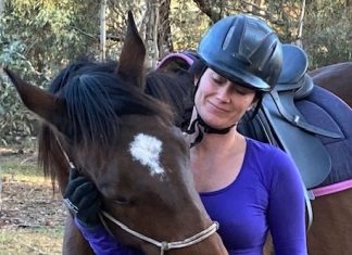 Trot along to free horse safety session