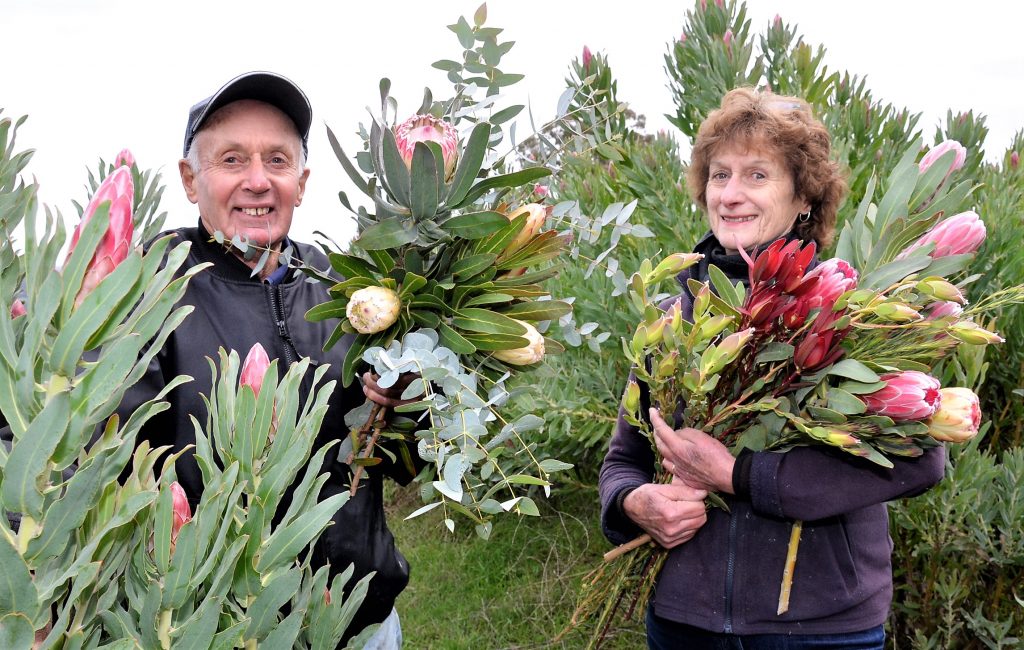 Bold and bright at Harcourt