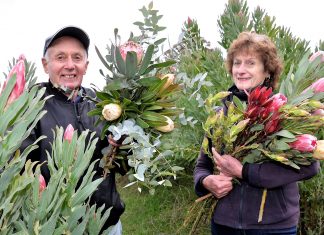 Bold and bright at Harcourt