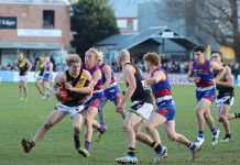 Bulldogs halt Tigers’ run