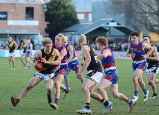 Bulldogs halt Tigers’ run