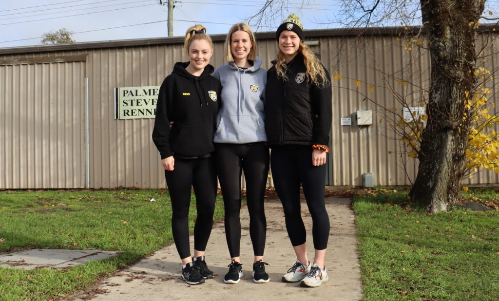 Urgent plea on netball needs