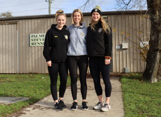 Urgent plea on netball needs