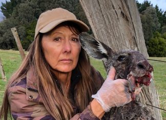 ‘Bad kills’ need to stop