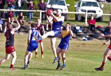 Redbacks win battle royale