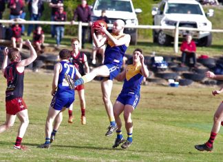 Redbacks win battle royale